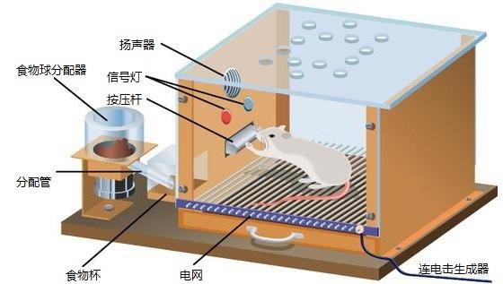 零食店的產品營銷策略需注重零食的本質?